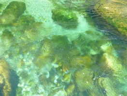 2021_Tessin3 037.jpg